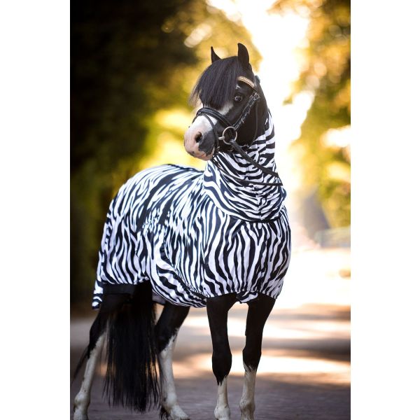 schotel haak Beschrijven Shetlander Eczeem deken Zebra